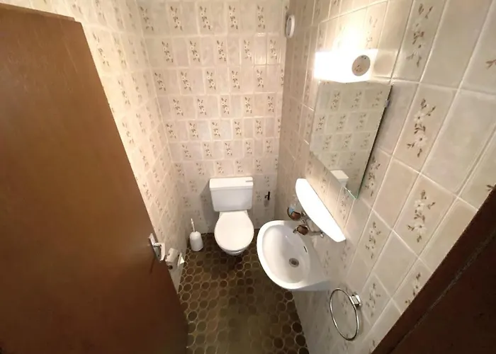 Laerchenwald 1803 * Leukerbad